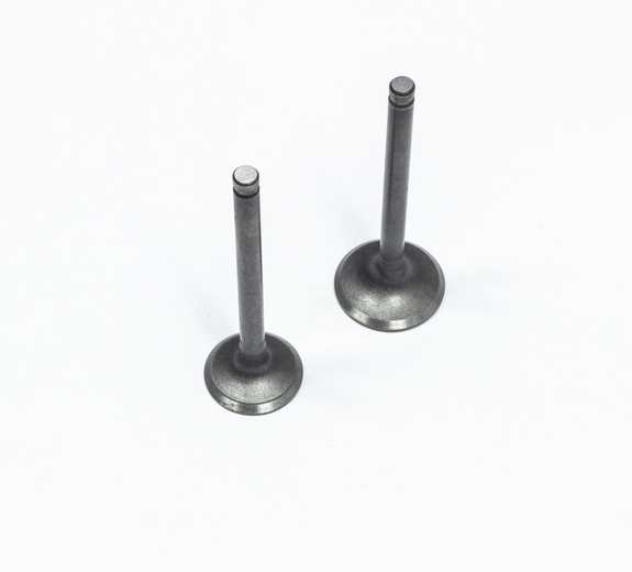 Клапаны (компл. 2шт) 4T двиг. TTR125, YX125 стандартные d=20/23  SM-PARTS pitbikemarket.ru